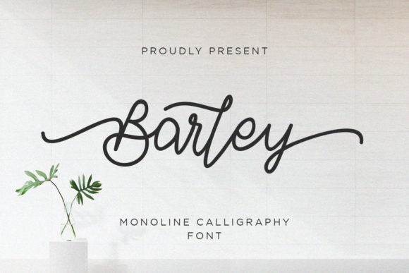 Barley Font: Elevating Campaigns with Casual Elegance