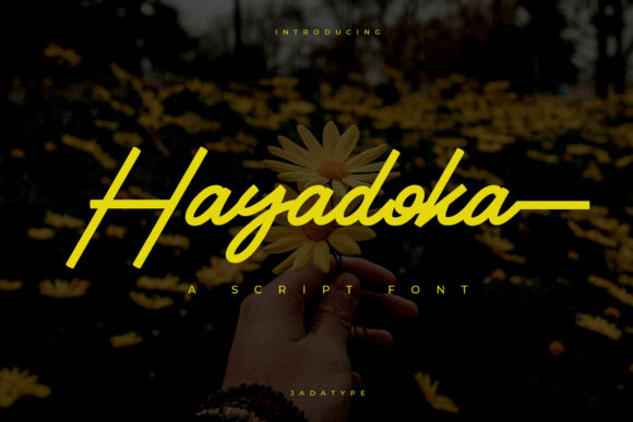 Hayadoka: A Font That Elevates Your Brand’s Visual Story