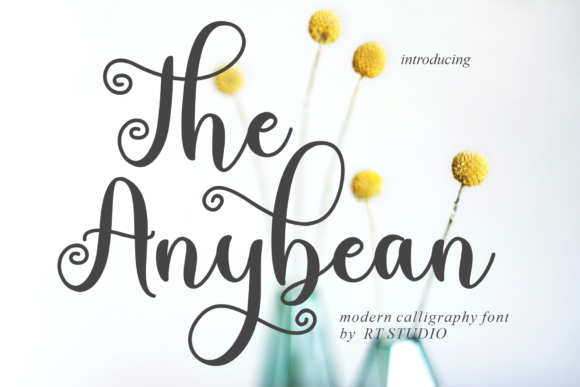 The Anybean: A Handwritten Font That Elevates Branding Projects